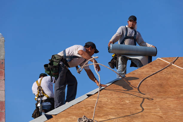 Best Emergency Roof Repair  in Utica, MI