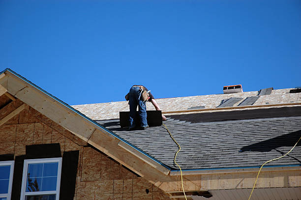 Best Roof Leak Repair  in Utica, MI