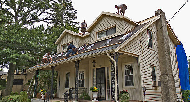 Best Metal Roofing Contractor  in Utica, MI
