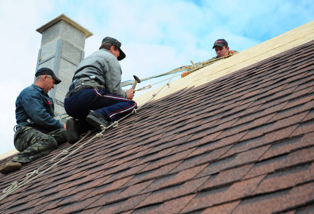 Best Roof Maintenance Services  in Utica, MI